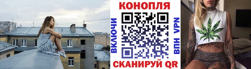 kraken ONION  Орёл  МАРИХУАНА сатива 